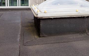 disadvantages of Sardis flat roofs