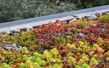 the cost of Sardis green roof installation