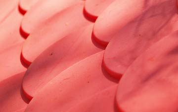 Sardis plastic roof costs