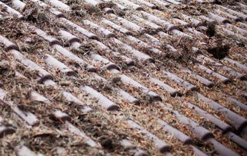 Sardis roof cleaning companies